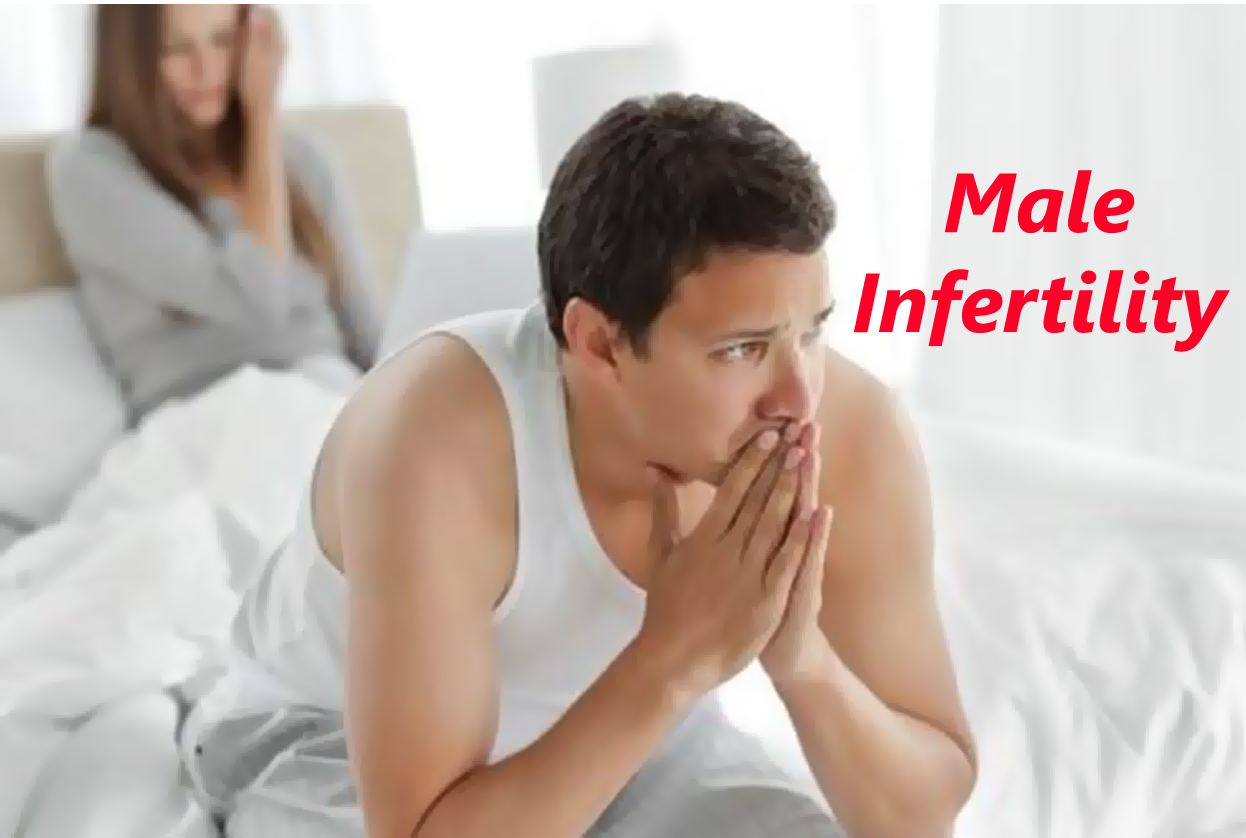 Infertility Profile Male